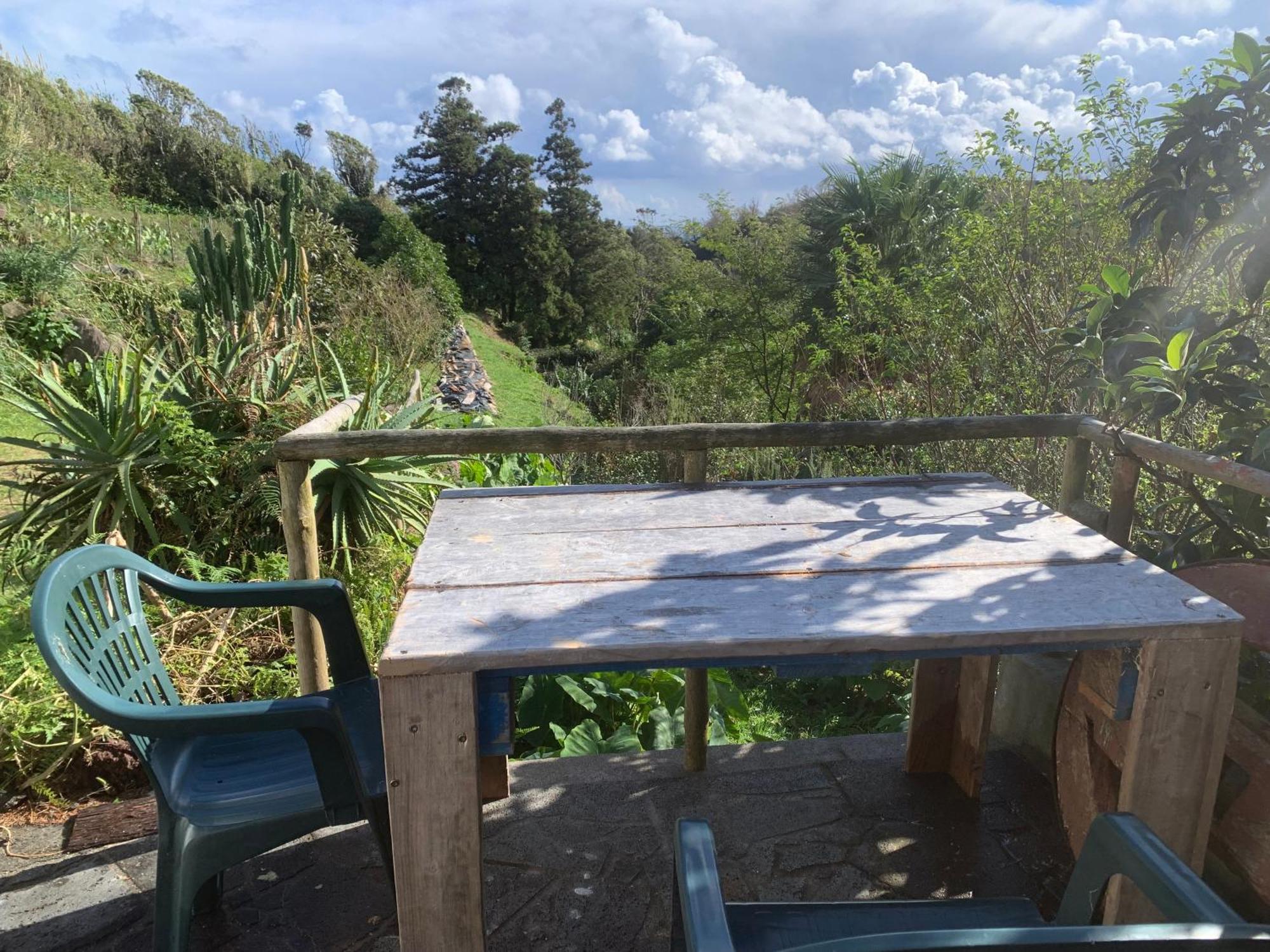 House With Forest View Lajes das Flores Kültér fotó
